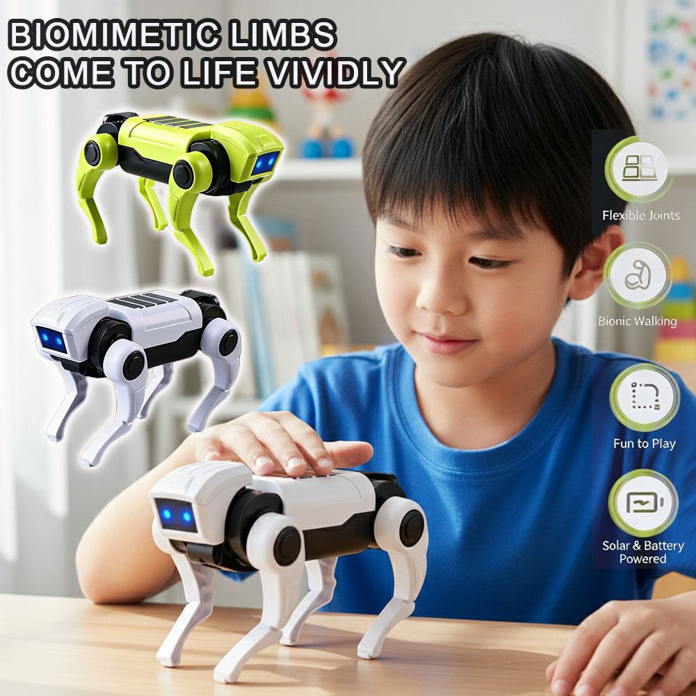 Science Project Robot - DIY Montaj RC Robot Köpek Oyuncak